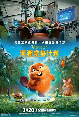 内妻事务
